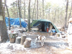 a barking dog. does it know about tent city?